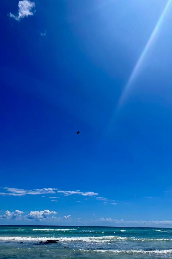 Reset