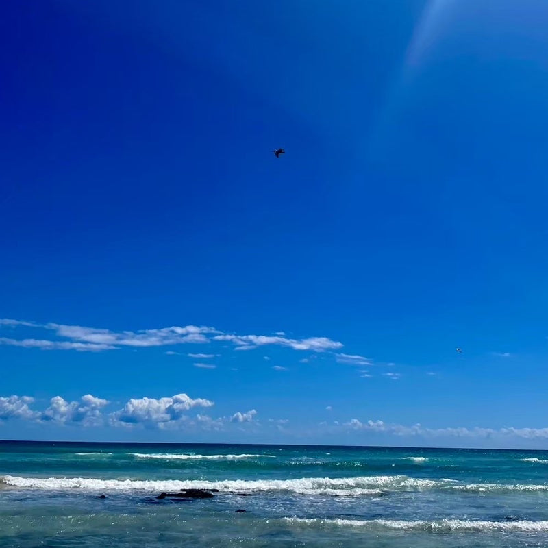 Centered Banner Image