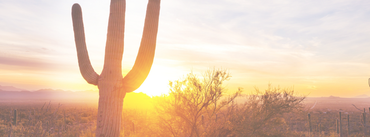 Centered Banner Image